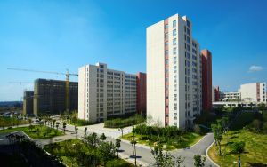 四川高考多少分报考长江大学?附2022-2024年最低录取分数线