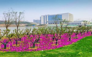 贵州531分左右的考生可以报考哪些大学?(供2025届高三考生参考)