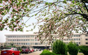 河北588分左右的考生可以报考哪些大学?
