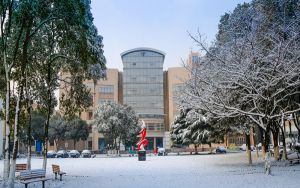 贵州高考多少分能考上上海大学?2024年历史类603分 物理类最低600分