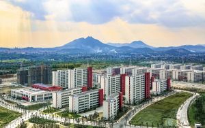 福建539分考生都可以填报哪些公办大学? 2024年高考有61所最低分在539左右的大学