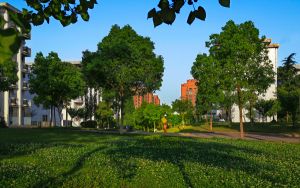 云南高考多少分能考上西安外事学院?2024年文科最低498分 理科投档线433分