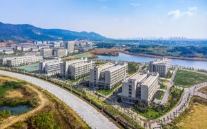 湖北高考多少分能考上上海大学?附2022-2024年最低录取分数线