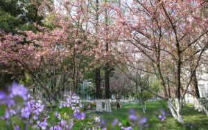 广东528分左右的考生可以报考哪些大学?(供2025届高三考生参考)