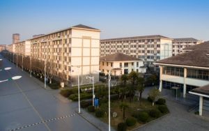 山东高考多少分能考上安阳师范学院?2024年综合最低分464分