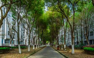 广西高考多少分能录取玉溪师范学院?2024年历史类最低466分 物理类投档线450分