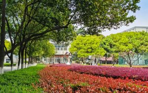青海高考多少分能考上河北交通职业技术学院?附2022-2024年最低录取分数线