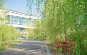 湖南高考多少分能考上长江大学文理学院?2024年历史类最低462分 物理类录取分444分