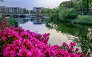 河北537分左右的考生可以报考哪些大学?(附带近三年高考大学录取名单)