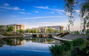 山东476分考生都可以填报哪些公办大学? 2024年一共22所大学录取