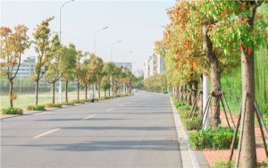 宁夏高考多少分能录取上海外国语大学?附2022-2024年最低录取分数线